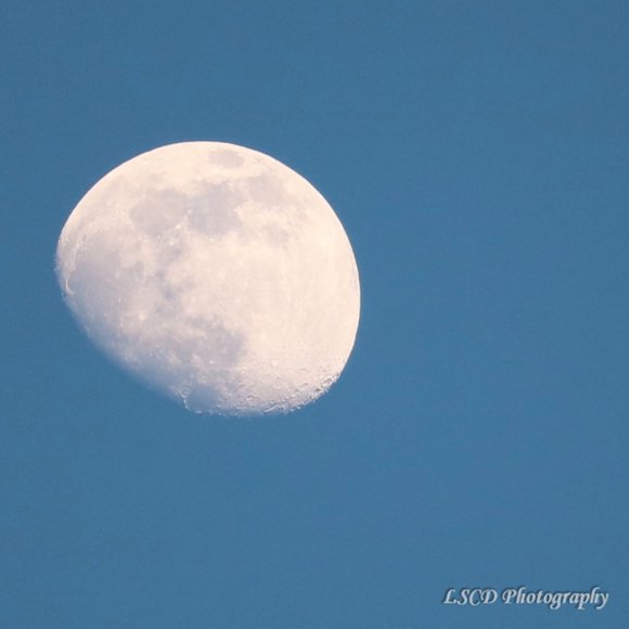 Check Out Vintage Items @ Stuff_n_Things  __ - Picture 3 of 7